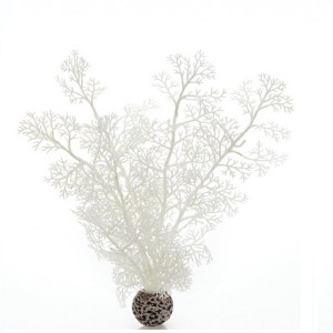 Decoratiune planta marina alba medie